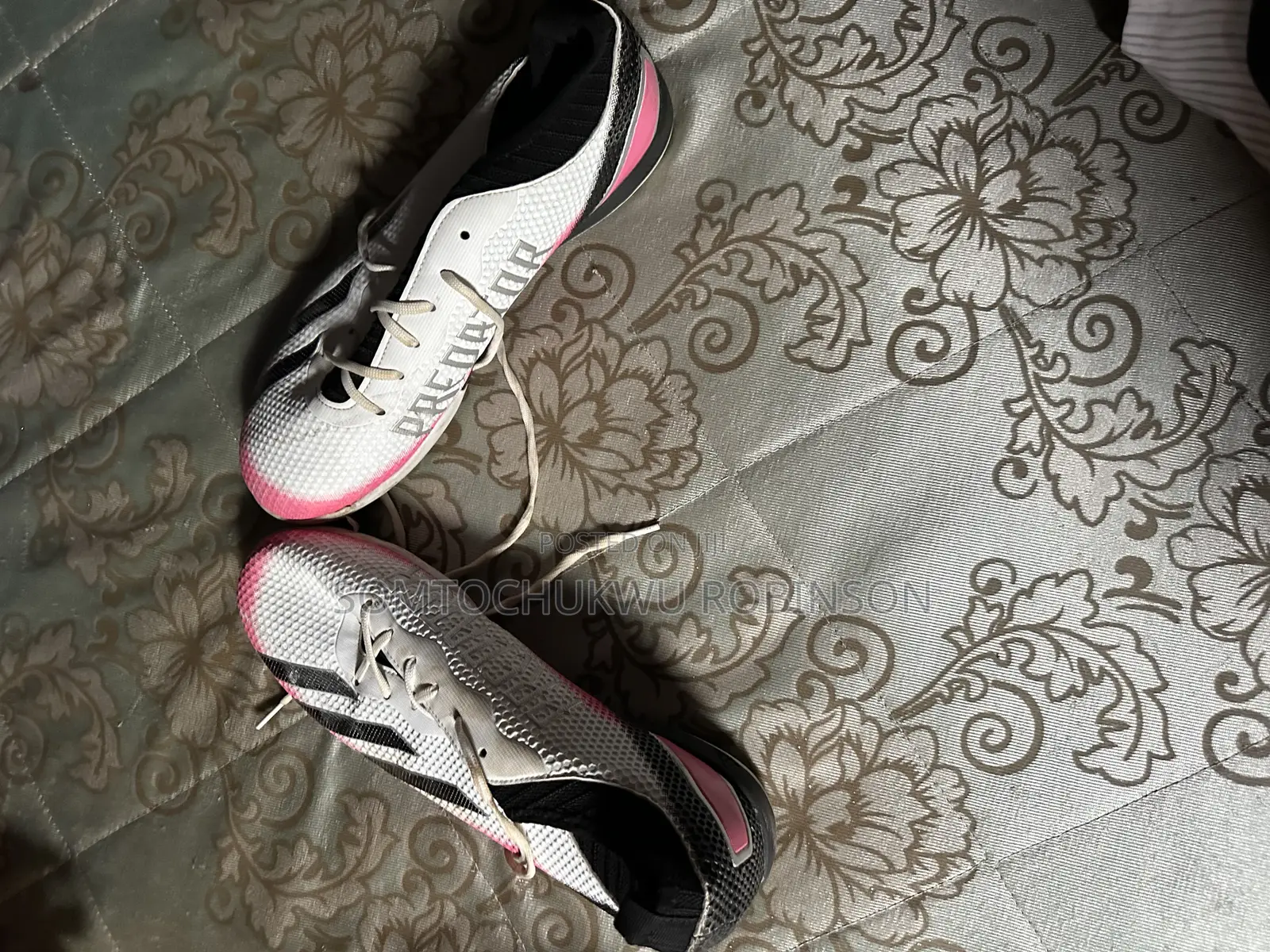 Predator Trainers