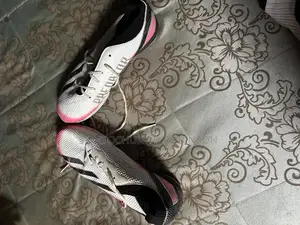 Predator Trainers