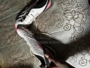 Predator Trainers