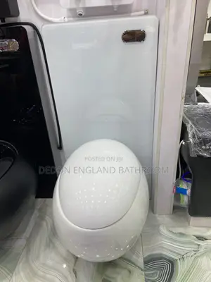 High Quality England Egg Shape Concealed Wc With Glass Surface Tank