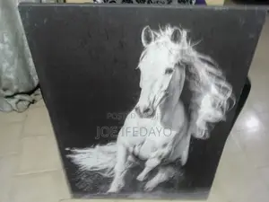 Wall Decor Canvas Artwork for Sale