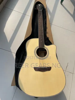 Bullfighter D-4116 Semi Electro Acoustic Guitar