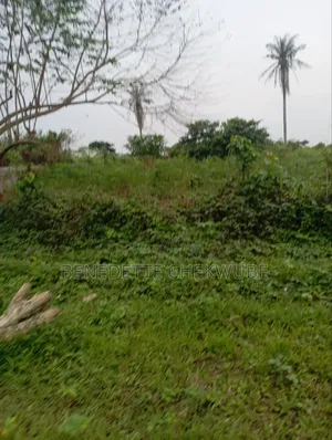 For Sale: Two Plots of Land