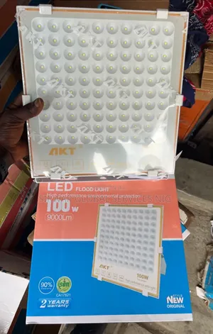 Original 100w Floodlight Art Product