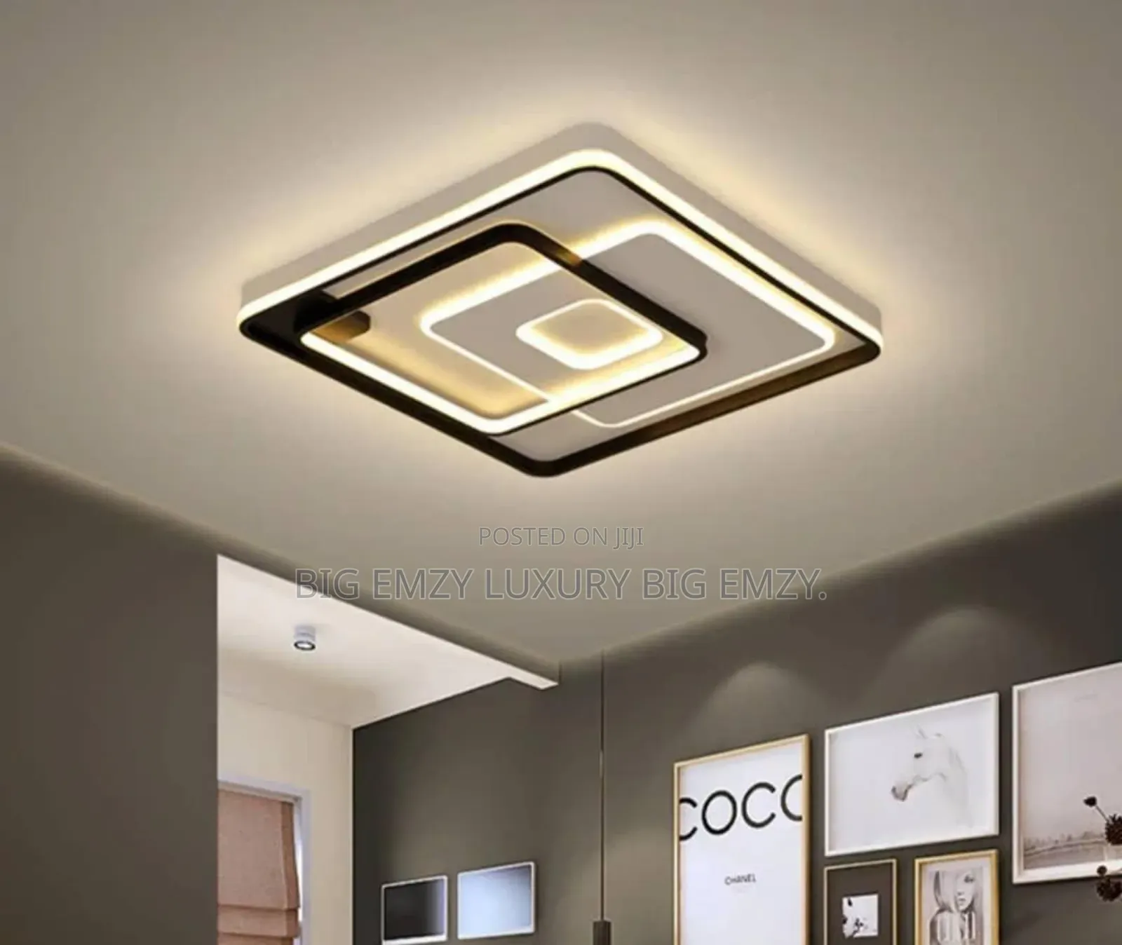 New Modern Ceiling Lights
