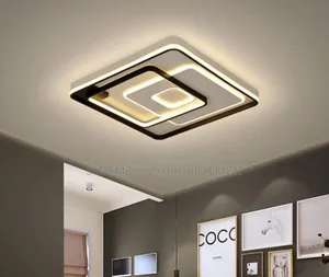 New Modern Ceiling Lights