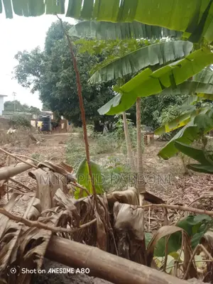 600sqm of Land at Trans Ekulu at Federal Housin Estate Enugu Bq at 65m.