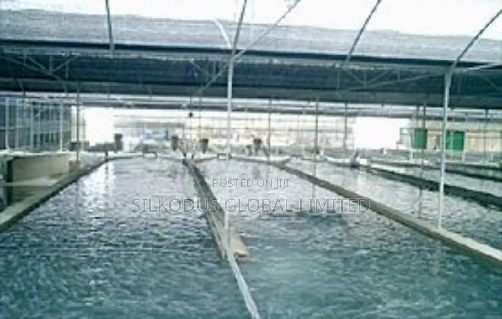 Automated Cat Fish Farm