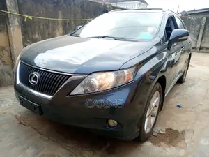 Lexus RX 350 2010 Gray