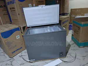 250l Hisense Home & Commercial Freezer