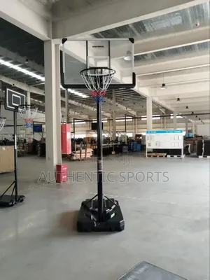 Adjustable 10ft Basketball Stand, Rim and Net.