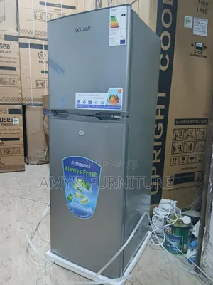 Standing Freezer With Double Doors