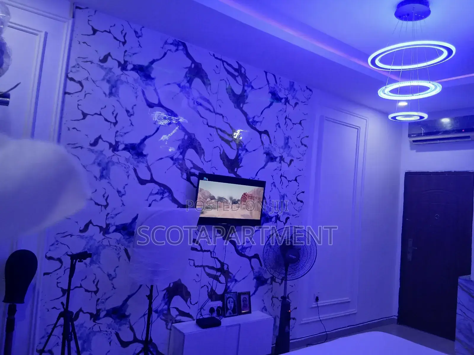 Shared Apartment