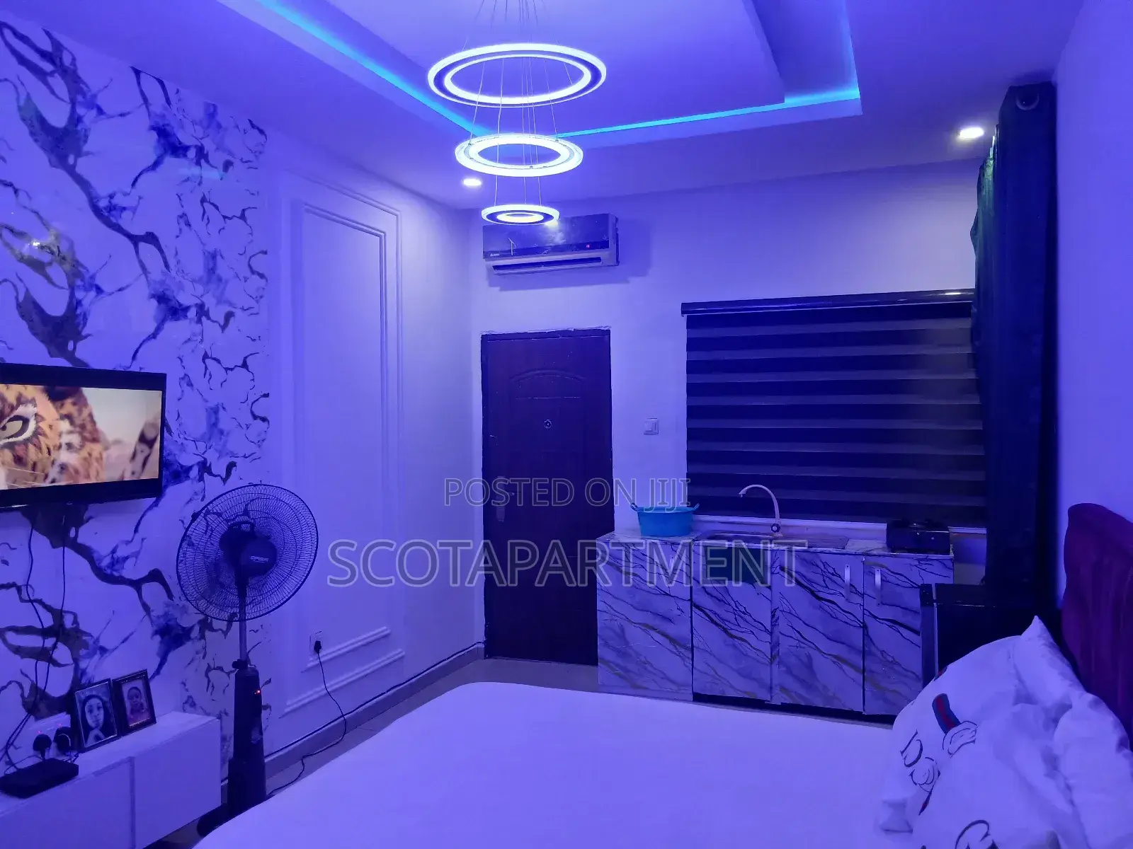 Shared Apartment