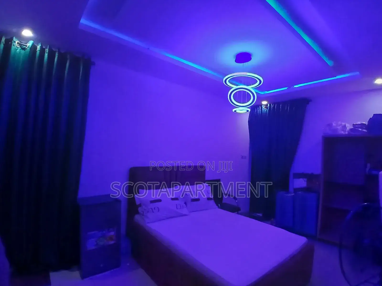 Shared Apartment
