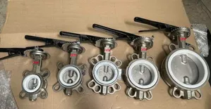 Guage Valve 4"