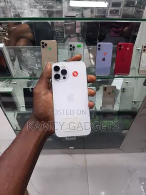 Apple iPhone 12 Pro Max 256 GB