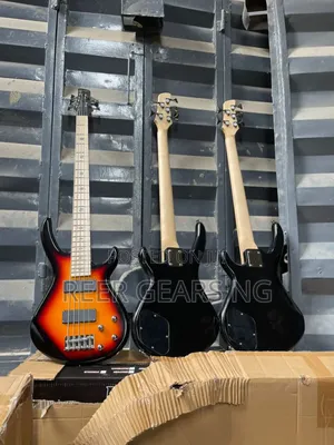 Professional Matins Bass Guitar 5 Strings Passive