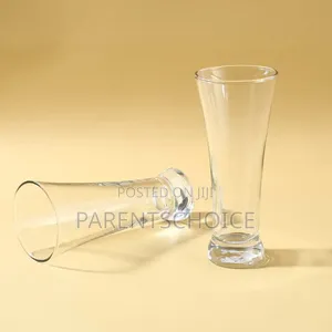 Acrylic Unbreakable Modena Beer Glass - 1pc