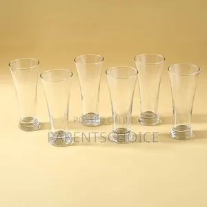 Acrylic Unbreakable Modena Beer Glass - 1pc