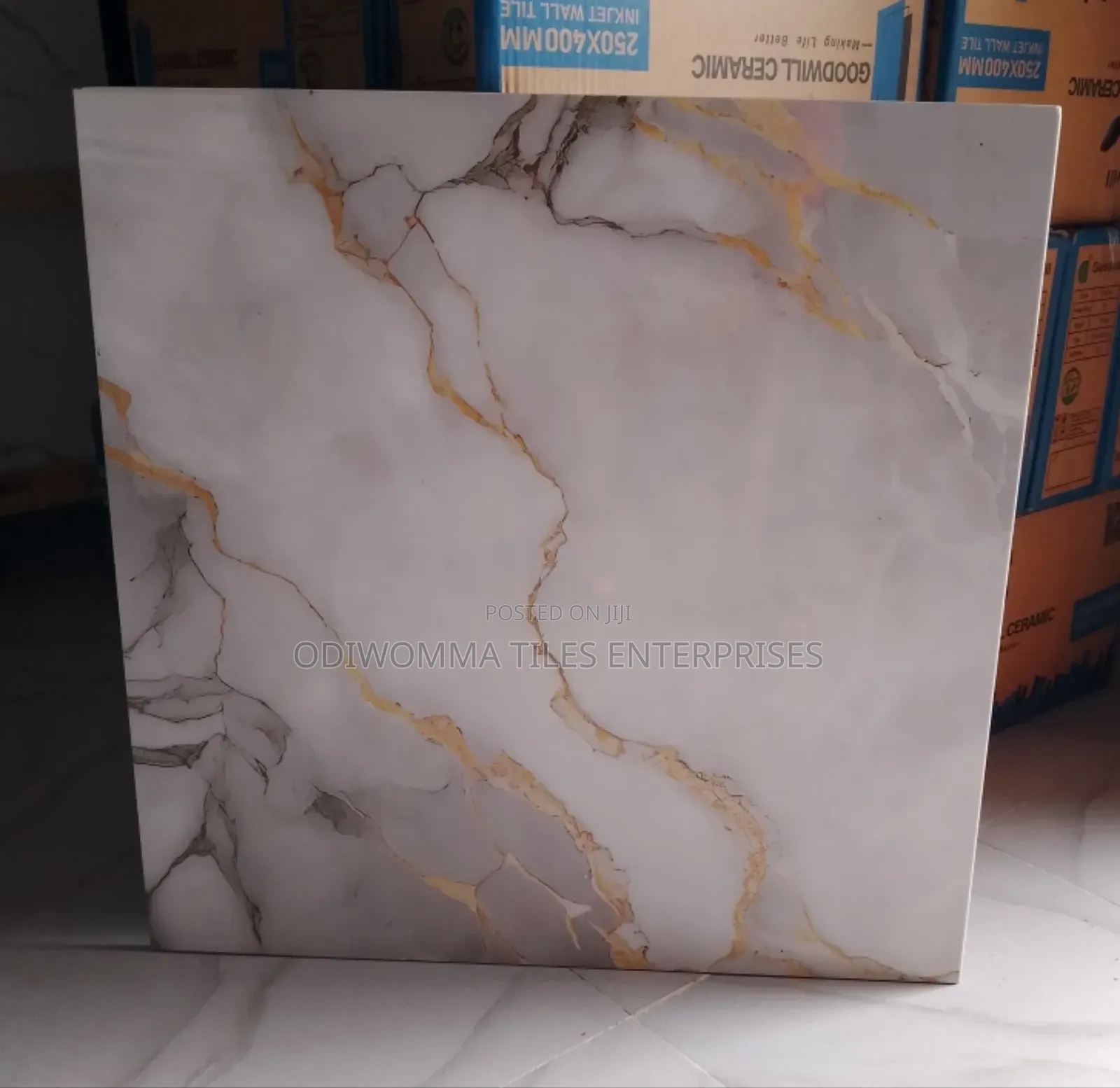Glossy Carrara Gold for Every Space