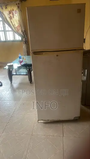 Fridge and Freezer