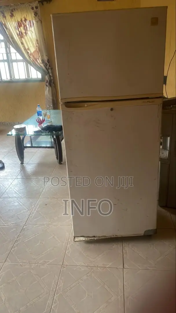 Fridge and Freezer