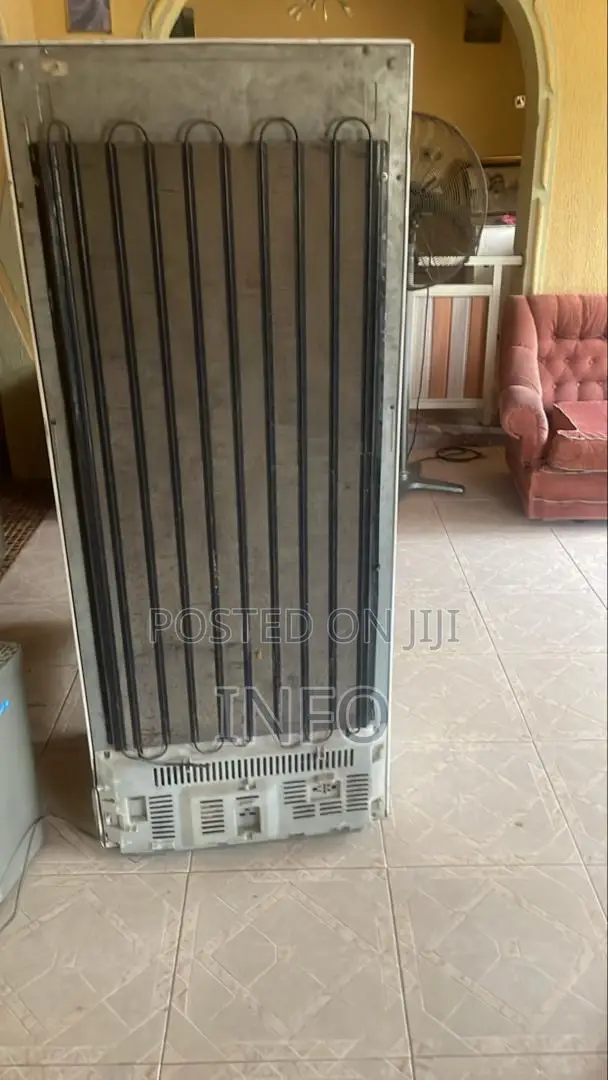 Fridge and Freezer