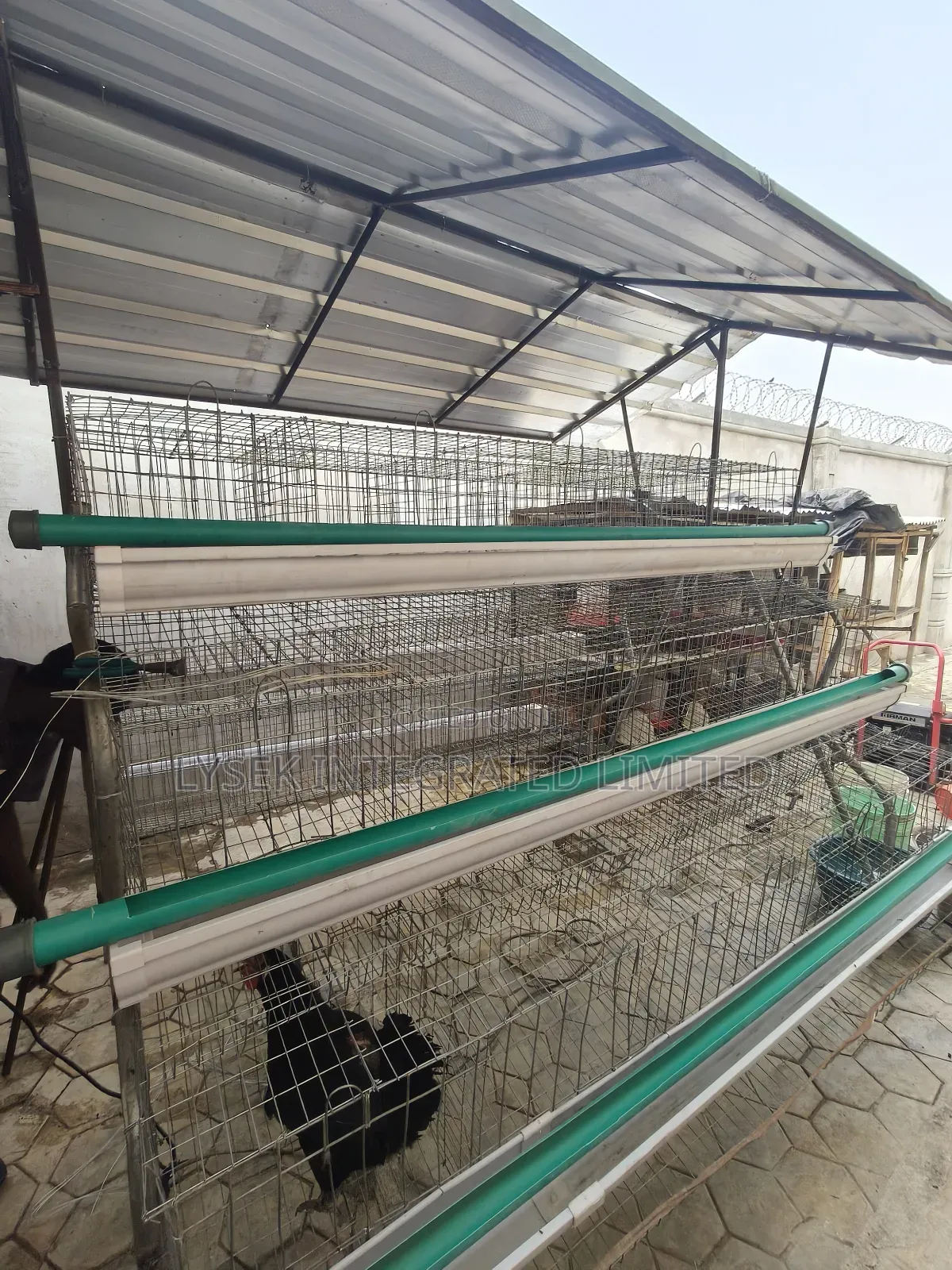 Battery Cage For Layers
