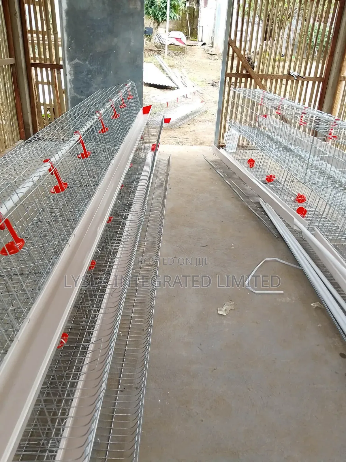 Imported Battery Cage For Layers And Broilers