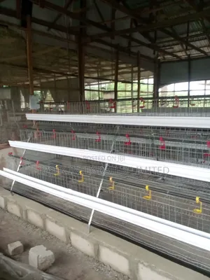 Cage For Chickens