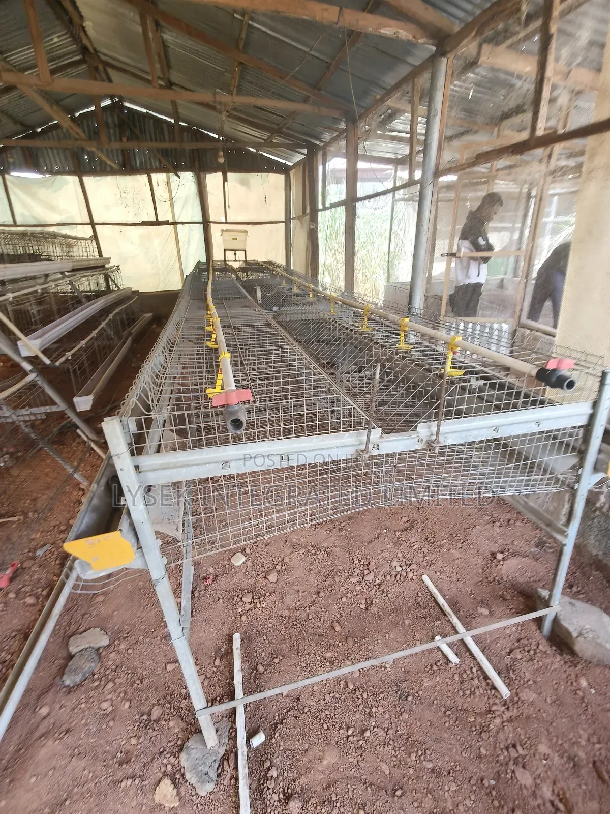 Poultry Experts And Battery Cage