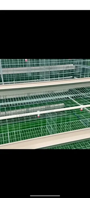 Poultry Experts And Battery Cage