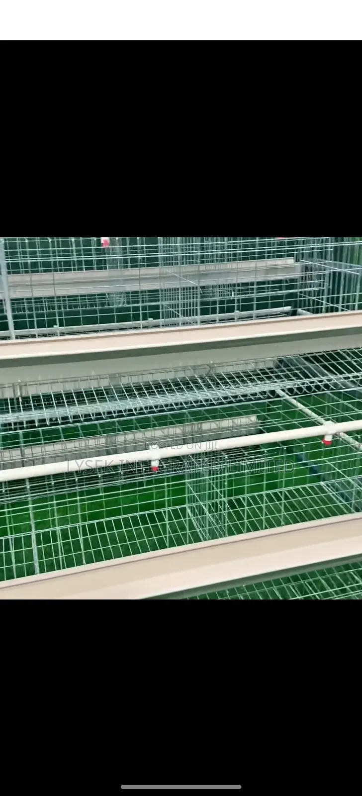 Poultry Experts And Battery Cage
