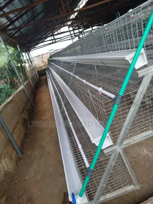 Poultry Experts And Battery Cage