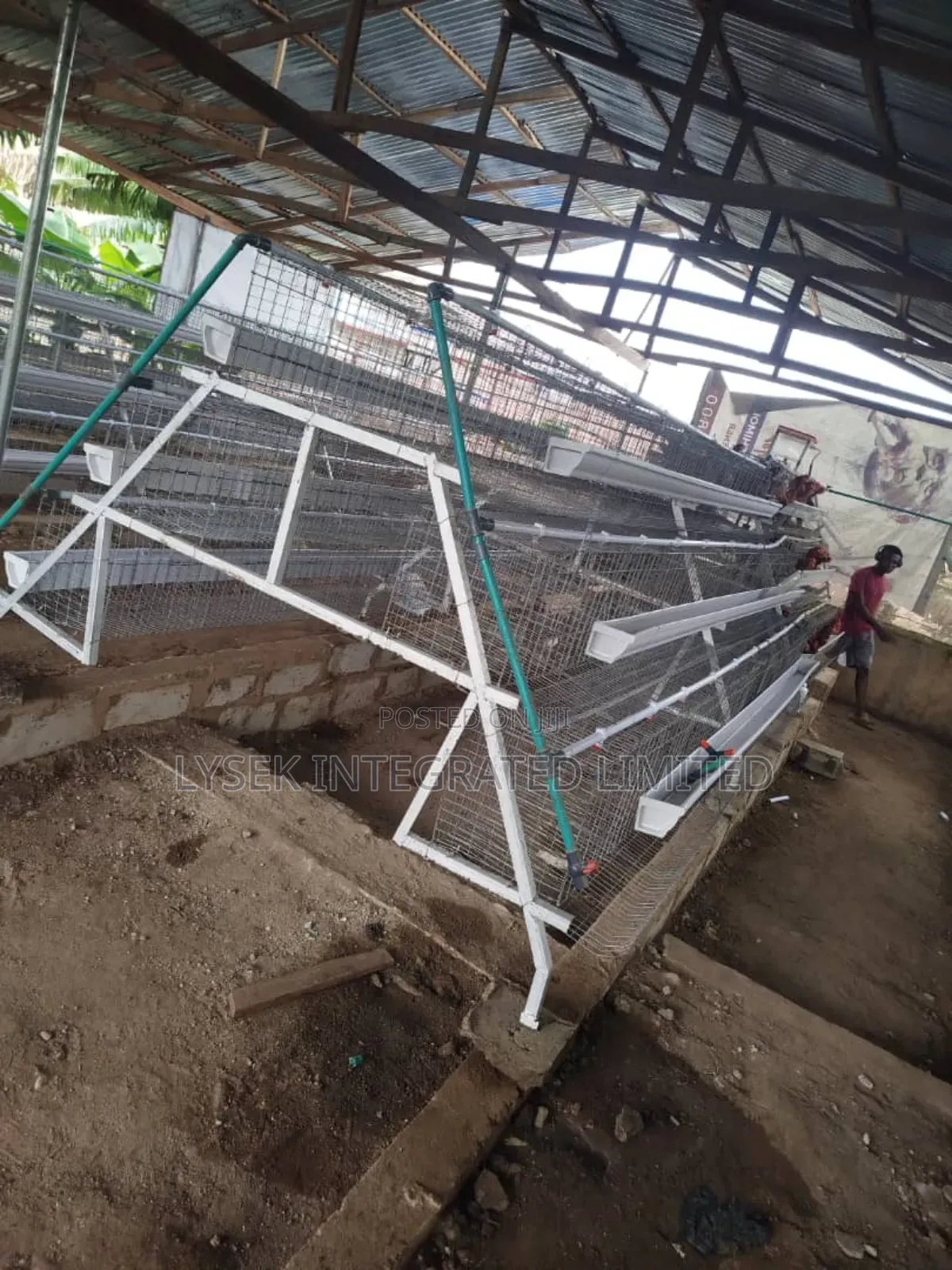 Cages For Layers