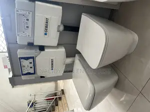 Geberit Rimless Conceal Wc