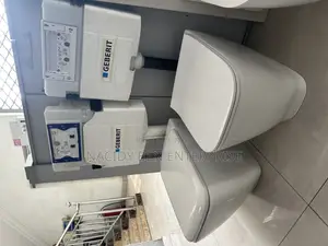 Geberit Rimless Conceal Wc