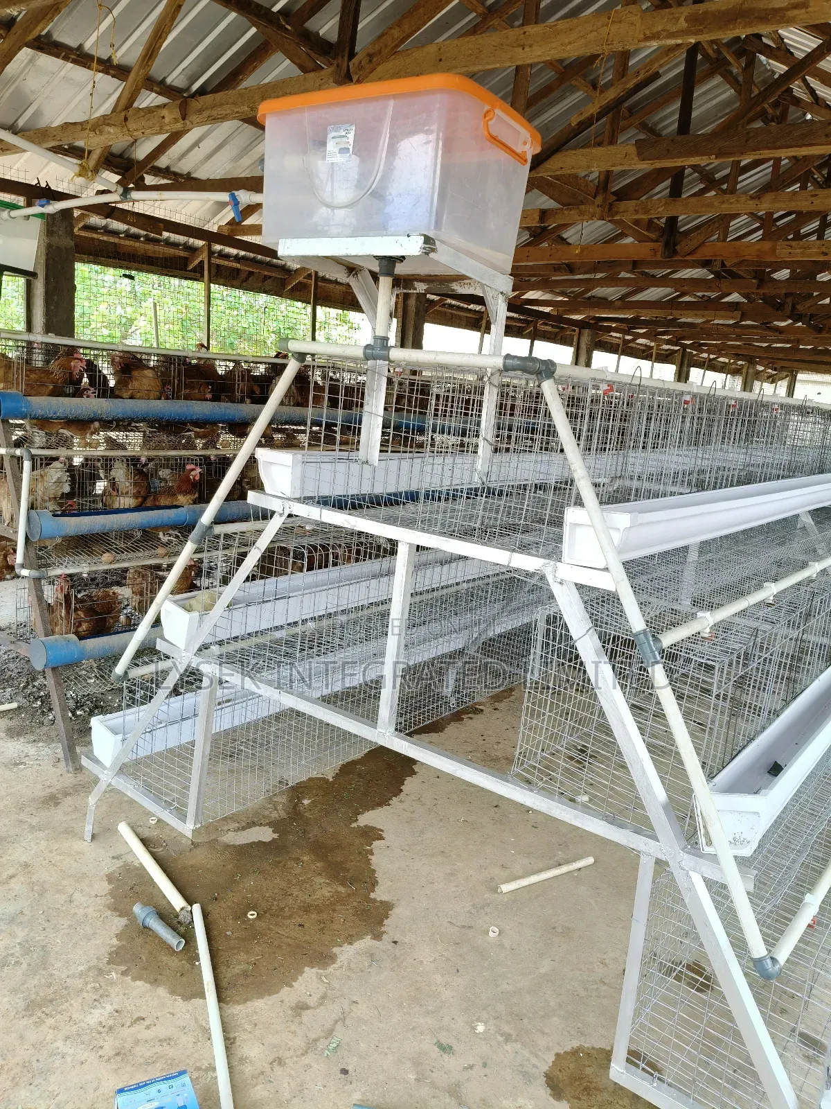 Battery Cage For Layers And Broilers