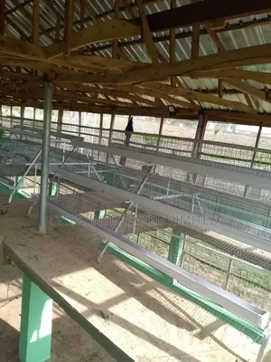 Poultry Pen House