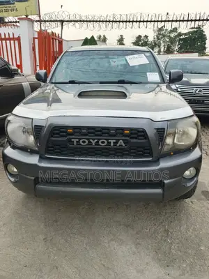 Toyota Tacoma 2010 Gray