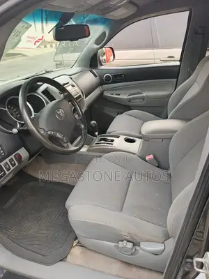 Toyota Tacoma 2010 Gray