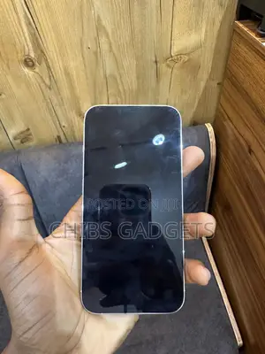 Apple iPhone 13 Pro 256 GB Silver