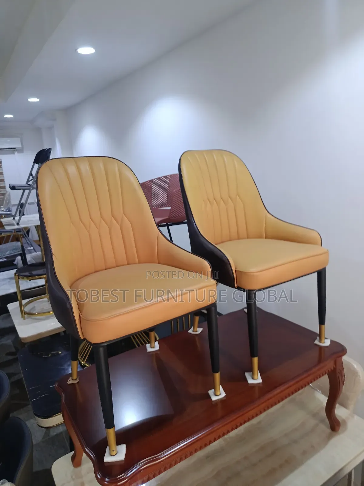 Dining Leather Chairs (Big Size)