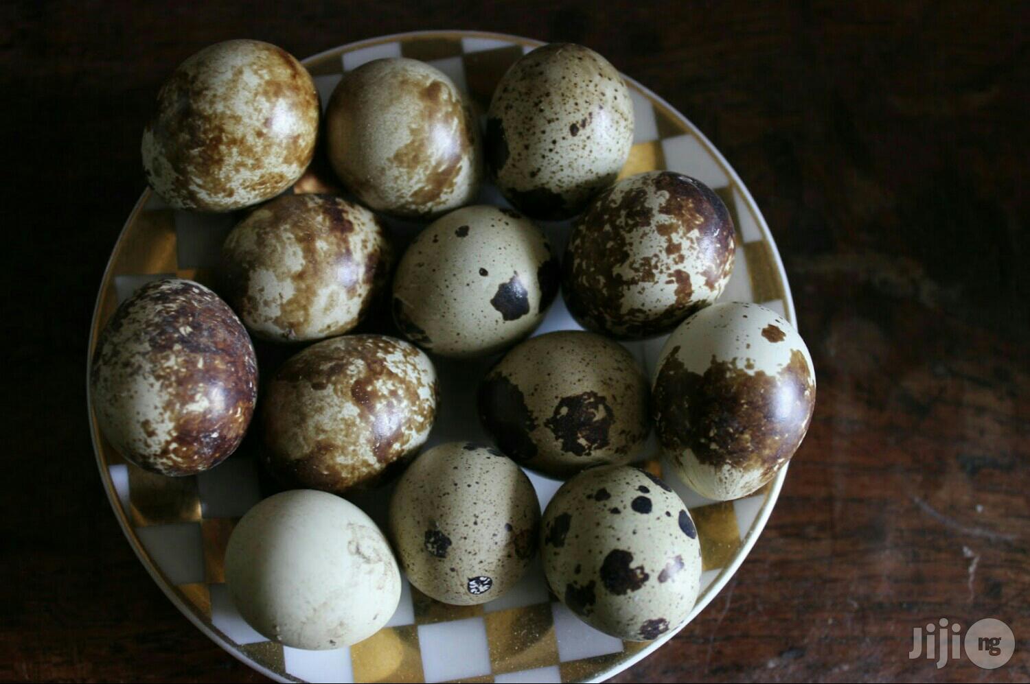 Quail Eggs