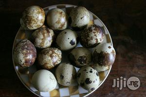 Quail Eggs