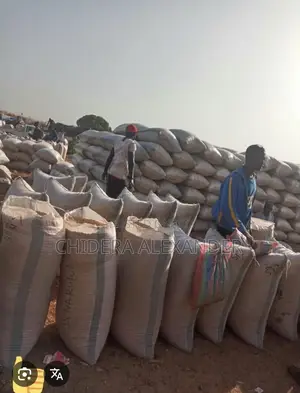 Premium Quality Soya Beans for Sale