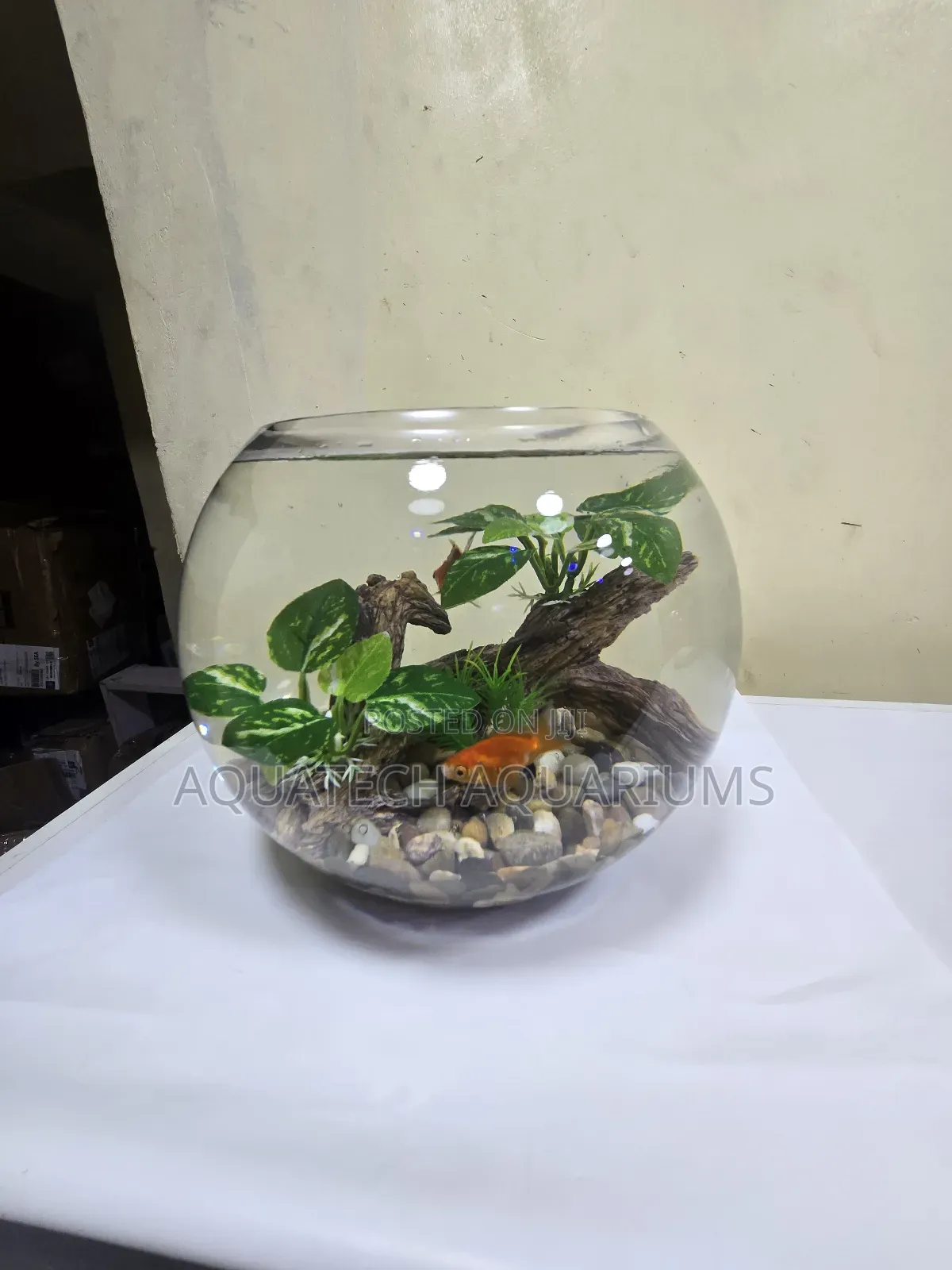 Aquarium Fish Bowl