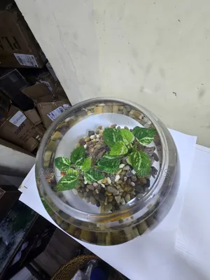 Aquarium Fish Bowl
