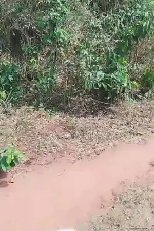 Land For Sale – Wasimi, Ogun State